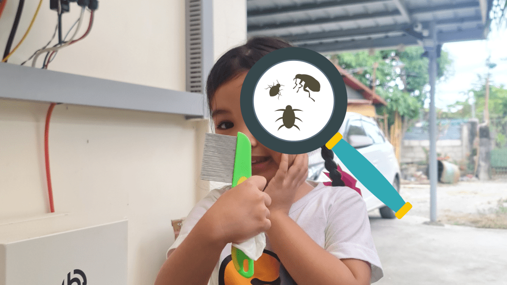 How We Manage Lice and Nits at Home w/o Shaving Our&nbsp;Hair